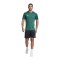 adidas Tiro 24 Trikot Dunkelgrün Weiss - gruen