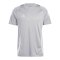 adidas Tiro 24 Trikot Grau Weiss - grau
