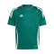 adidas Tiro 24 Trikot Kids Grün Weiss - gruen