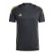 adidas Tiro 24 Trikot Schwarz Gold - schwarz