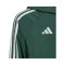 adidas Tiro 24 Windbreaker Kids Grün Weiss - gruen