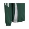 adidas Tiro 24 Windbreaker Kids Grün Weiss - gruen