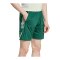 adidas Tiro 25 Competition Short Grün - gruen