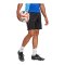 adidas Tiro 25 Competition Short Schwarz - schwarz