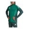 adidas Tiro 25 Competition Sweatshirt Grün - gruen