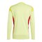 adidas Tiro 25 Competition Torwarttrikot Gelb - gelb