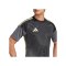 adidas Tiro 25 Competition Torwarttrikot Grau - grau