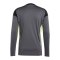 adidas Tiro 25 Competition Torwarttrikot Grau - grau