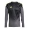 adidas Tiro 25 Competition Torwarttrikot Grau - grau