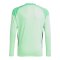adidas Tiro 25 Competition Torwarttrikot Kids Grün - gruen