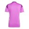 adidas Tiro 25 Competition Torwarttrikot Lila - lila