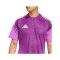 adidas Tiro 25 Competition Torwarttrikot Lila - lila