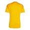 adidas Tiro 25 Competition Torwarttrikot Orange - orange