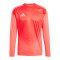 adidas Tiro 25 Competition Torwarttrikot Rot - rot