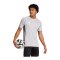 adidas Tiro 25 Competition Trikot Grau - grau