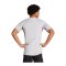 adidas Tiro 25 Competition Trikot Grau - grau