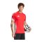 adidas Tiro 25 Competition Trikot Rot Grau - lila