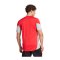 adidas Tiro 25 Competition Trikot Rot Grau - lila
