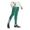 adidas Tiro 25 Competition Trainingshose Grün - gruen