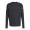 adidas Tiro 25 Pro Sweatshirt Schwarz - schwarz
