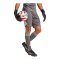adidas Tiro 25 Pro Torwartshort Grau - grau