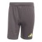 adidas Tiro 25 Pro Torwartshort Grau - grau