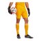 adidas Tiro 25 Pro Torwartshort Orange - orange
