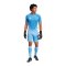 adidas Tiro 25 Pro Torwarttrikot Blau - blau
