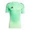 adidas Tiro 25 Pro Torwarttrikot Grün - gruen