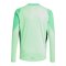 adidas Tiro 25 Pro Torwarttrikot Kids Grün - gruen