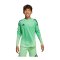 adidas Tiro 25 Pro Torwarttrikot Kids Grün - gruen