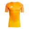 adidas Tiro 25 Pro Torwarttrikot Orange - orange