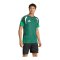 adidas Tiro 26 Competition Trikot Grün - gruen