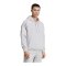 adidas Tiro 26 League Hoody Grau - grau
