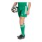 adidas Tiro 26 League Short Damen Grün - gruen