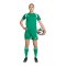 adidas Tiro 26 League Short Damen Grün - gruen