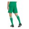 adidas Tiro 26 League Short Grün - gruen