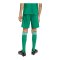 adidas Tiro 26 League Short Kids Grün - gruen