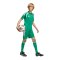 adidas Tiro 26 League Short Kids Grün - gruen