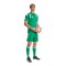 adidas Tiro 26 League Trikot Grün - gruen
