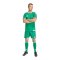 adidas Tiro 26 Short Grün - gruen