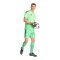 adidas Tiro 26 Torwartshort Grün - gruen