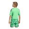 adidas Tiro 26 Torwarttrikot Kids Grün - gruen