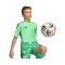 adidas Tiro 26 Torwarttrikot Kids Grün - gruen