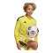 adidas Tiro 26 Torwarttrikot Langarm Kids Gelb - gelb