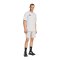 adidas Tiro Travel Woven Short Grau - grau