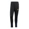 adidas Tiro25 Essentials Winterized Trainingshose Schwarz - schwarz