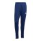adidas Tiro25 Essentials Winterized Trainingshose Blau - blau