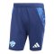 adidas TSV Hartberg Trainingsshort Blau - blau