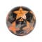 adidas UEFA Champions League 26/27 Club Trainingsball Schwarz - schwarz